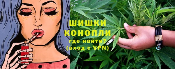 сатива Беломорск