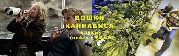 сатива Беломорск