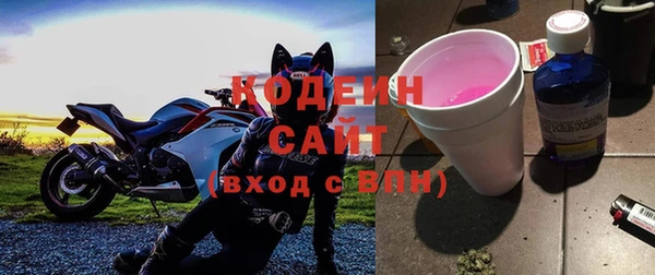 сатива Беломорск