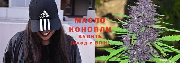 сатива Беломорск
