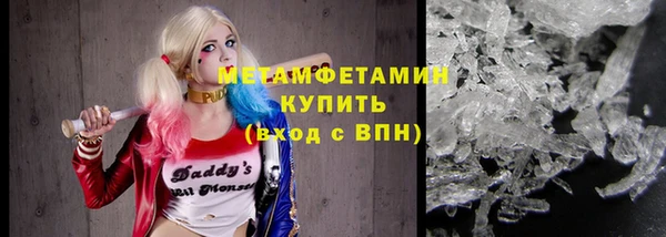 сатива Беломорск