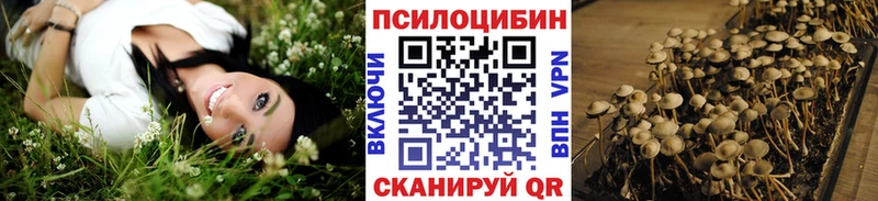 Псилоцибиновые грибы Psilocybine cubensis  купить наркотик  Великий Устюг 